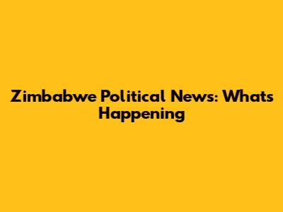 Zimbabwe Political News: What's Happening