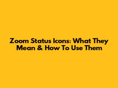 Zoom Status Icons: What They Mean & How To Use Them